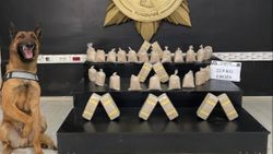 Hakkari'de toprağa gömülü 22 kilo eroin bulundu