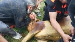 Tokat’ta, dumandan etkilenen danaya itfaiye suni teneffüs yaptı