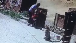Kastamonu'da çocuğu köpeklerin önüne atan cani