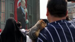 Taksim Camisi açılışına sincabı ile geldi