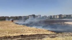 Diyarbakır'daki anız yangını kontrol altına alındı