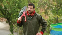 Davut Güloğlu köyünde çay topladı