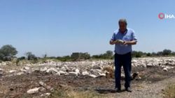 Ermeni işgalinden kurtarılan Ağdam’a 28 yıl sonra dönüş