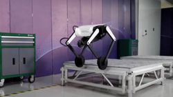 Havada ters takla atan robot köpek: Ollie