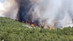 Kaş'ta orman yangını çıktı
