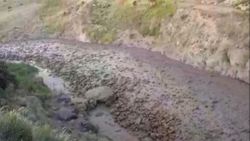 Ağrı Dağı'nda taş ve çamur seli