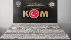 Hakkari'de 48 bin 100 dolar sahte paraya el konuldu