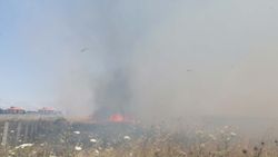 Silivri'deki buğday tarlasında yangın çıktı