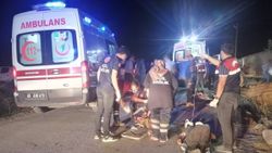 Van'da kaçak göçmen taşıyan minibüs kaza yaptı