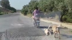 Mersin'de köpeği motosikletin arkasına bağlayıp sürükledi