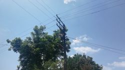 Adana'da elektrik direğinde akıma kapıldı