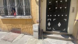 Beyoğlu'nda yılanlar kömürlükte yuva yaptı