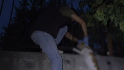 Sultangazi'de boğazına ip bağlanan kediyi ölüme terk ettiler