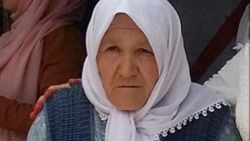 Denizli'de otomobilin çarptığı yaya öldü