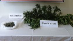 Kahramanmaraş’ta Hint keneviri ve kubar esrar ele geçirildi
