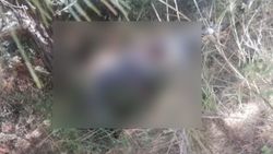Tekirdağ'da ‘bugün beni beklemeyin’ diyen yaşlı adam mezarlıkta ölü bulundu