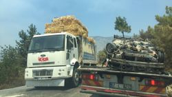 Antalya’ya çevre illerdeki besicilerden yüzlerce tır yem yardımı