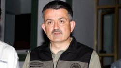 Bekir Pakdemirli, yangınlarla ilgili son durumu açıkladı