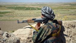 Taliban, 5 vilayeti kontrol altına aldı