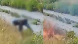 İtalya'da yangın çıkaran kundakçı, kameraya yakalandı