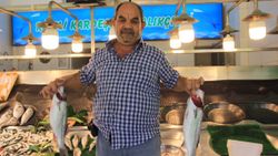 Kocaeli’de müşterisiz kalan balıkçı esnafı isyan etti