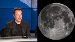 Elon Musk: 2024'ten önce Ay'da olacağız