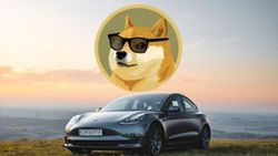 İkinci el Tesla modelleri, Dogecoin ile satın alınabilecek