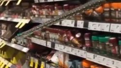 Avustralya'daki markette 3 metre boyunda yılan görüldü