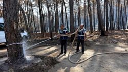 Marmaris'te polis, yanan ormanı yeşertmek için çalışıyor