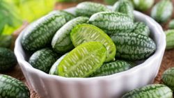 Dışı karpuz içi salatalık: Cucamelon meyvesinin faydaları
