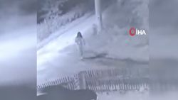 Polonya'da kadın kılığına girip araba çalan hırsız kayıplara karıştı