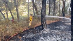 Muğla'daki yangın kontrol altına alındı