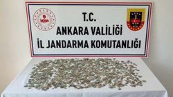 Ankara'da 2 bin 30 sikke ele geçirildi
