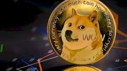 Dogecoin'den 1 milyar liralık vurgun