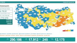 28 Ağustos Türkiye'de koronavirüs tablosu