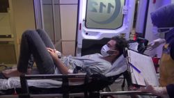 Kocaeli'de fındık toplarken yılan ısırdı