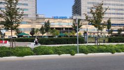 Bursa’da, hastane bahçesinde kalp krizi geçiren kadın öldü