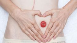 Stoma nedir