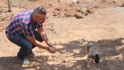 Elazığ’da, felçli yavru köpeği yeniden ayağa kaldırdı