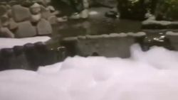 Hatay'da süs havuzuna deterjan döktüler
