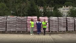 Kastamonu’ya sokak havyanları için 12 ton mama gönderildi