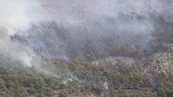 Hatay’da orman yangını çıktı
