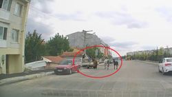 Eskişehir’de, atları kamyonetin arkasına bağlayıp koşturdu