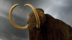 Bilim insanları, 4 bin yıl önceki mamutları geri getirecek