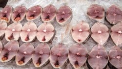 Eylül'ün en lezzetlisi: Palamut balığının faydaları