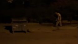 Ankara'da mahallelinin hayvanlara bıraktığı mamalar tekmelendi
