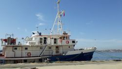 Müsilajdan arınan Marmara Denizi'nde bu sefer de oksijen azlığı tehdit oldu