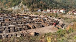 Karadeniz'deki sel bölgesinde 90 bin tomruk toplandı