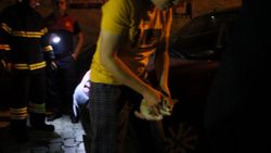 Ordu’da, 9 yaşındaki Yasin’in dikkati yavru kediyi kurtardı