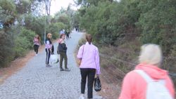 Büyükada’da dilek dileyip ağaçlara ip bağlayarak Aya Yorgi Kilisesi'ne çıktılar